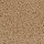 Dixie Home: Chromatic Touch Sandstone